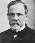 Pasteur